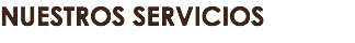 NUESTROS SERVICIOS